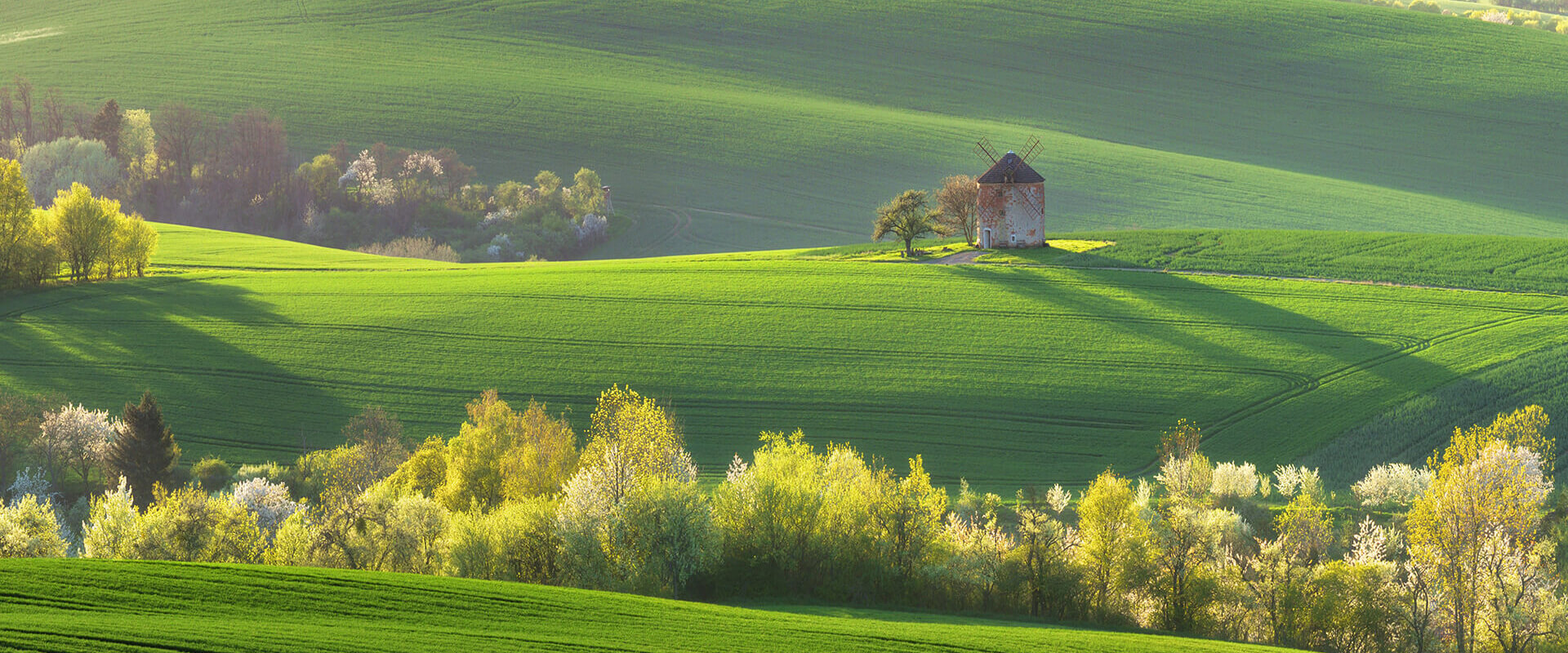 Czech Republic