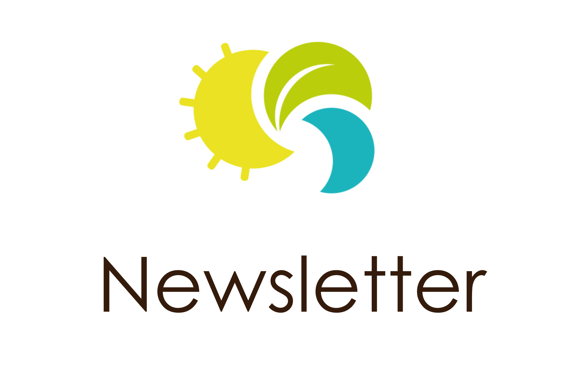 Now published the 1st BioINSouth newsletter!